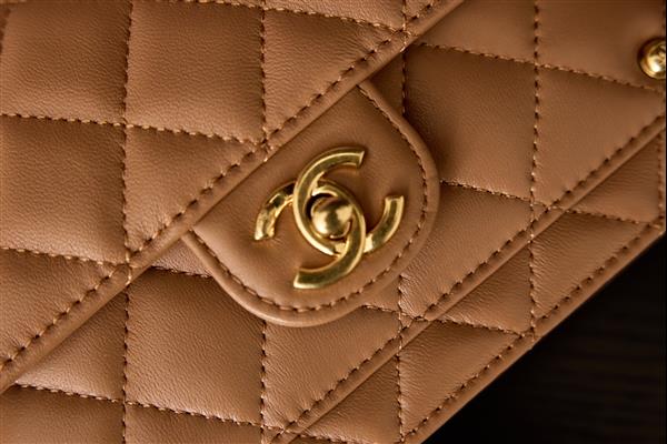 2026131222332684 650